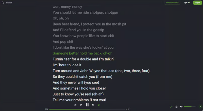 Sing Along with Synchronised Lyrics on Archodia Music